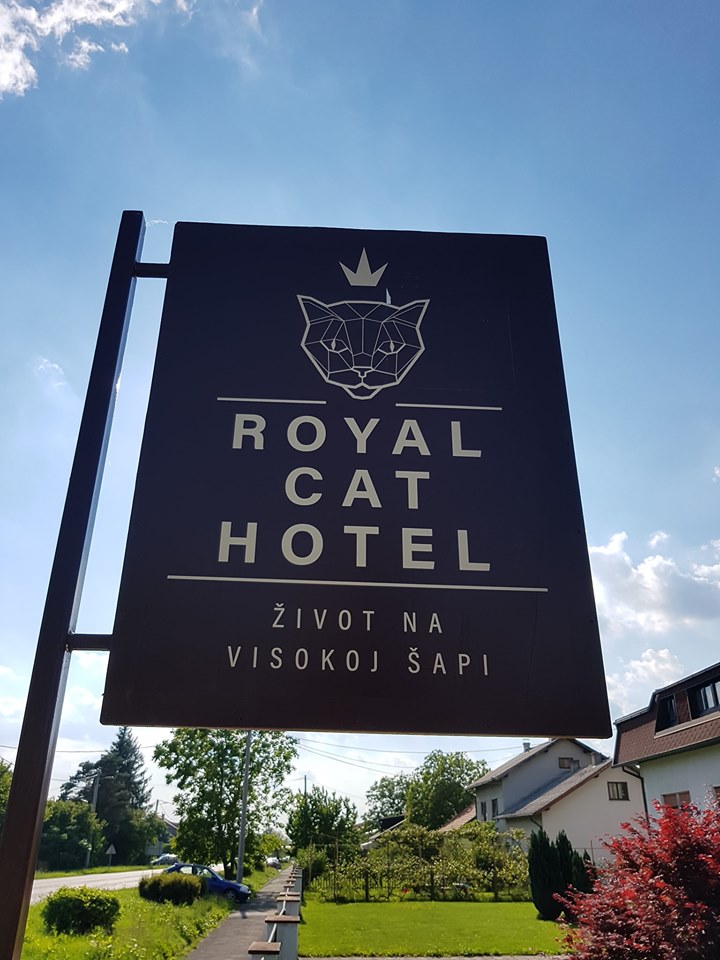 Čuvanje mačaka - Royal Cat Hotel